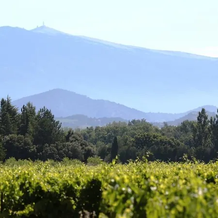 Pensión Mas Du Clos De L'escarrat 3*