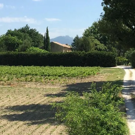 Pensión Mas Du Clos De L'escarrat Jonquieres (Vaucluse)